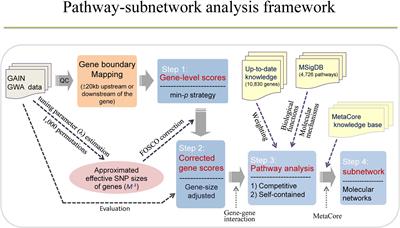 Genetic Pathways and Functional Subnetworks for the Complex Nature of Bipolar Disorder in Genome-Wide Association Study